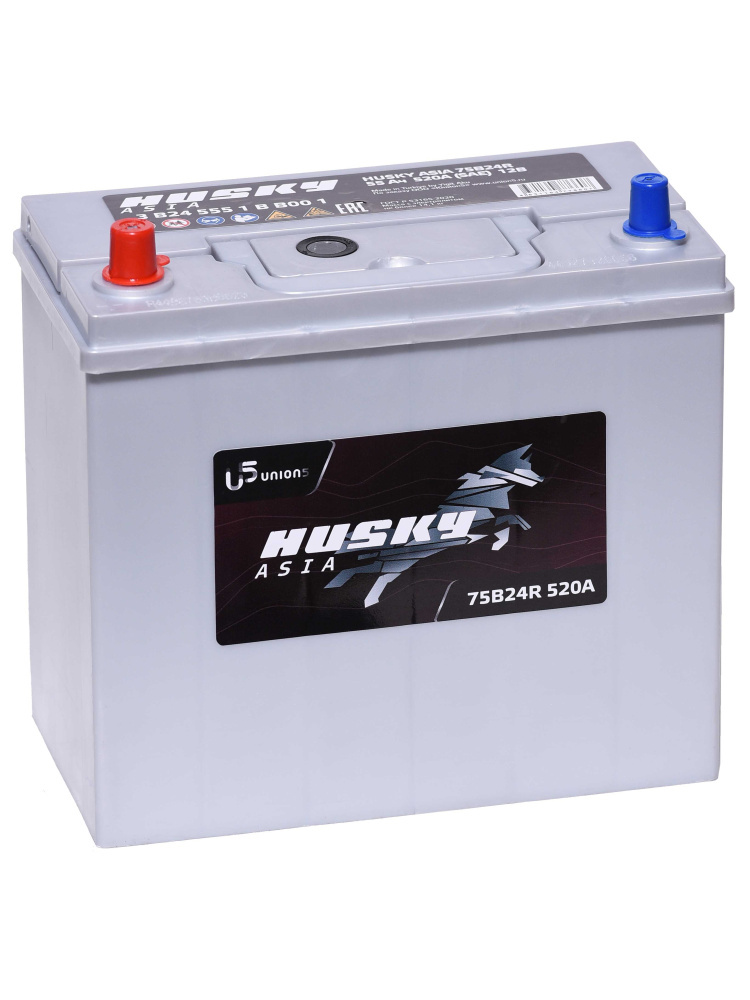 АКБ Husky Asia 55 Ач 75B24R