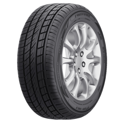 285/45R19 111V XL FSR-303 TL