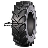 RAG100 (AGRO10) R-1W